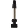 DT Swiss Tubeless Valve – Silver