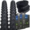 Positz Value Bundle of 2 MTB Tyres 29 x 2.10 (54-622) and 2 Schwalbe AV19 Tubes Schrader