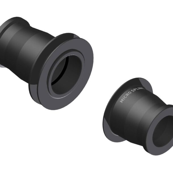DT Swiss Rear Hub Adapter Kit | 12x142/148mm - Shimano Microspline (Ratchet EXP) | HWGXXX00S2755S