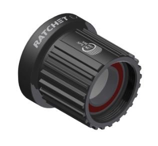 DT Swiss Shimano Microspline Freehub Body for Ratchet EXP Hubs | HWRABL00S4863S