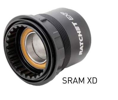 DT Swiss SRAM XD Freehub Body for Ratchet EXP Hubs - Ceramic Bearings | HWRCBL00S2809S