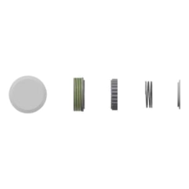 DT Swiss Ratchet EXP Upgrade Kit 54T | Ratchets, Spring & Grease | HWYXXX00N9376S