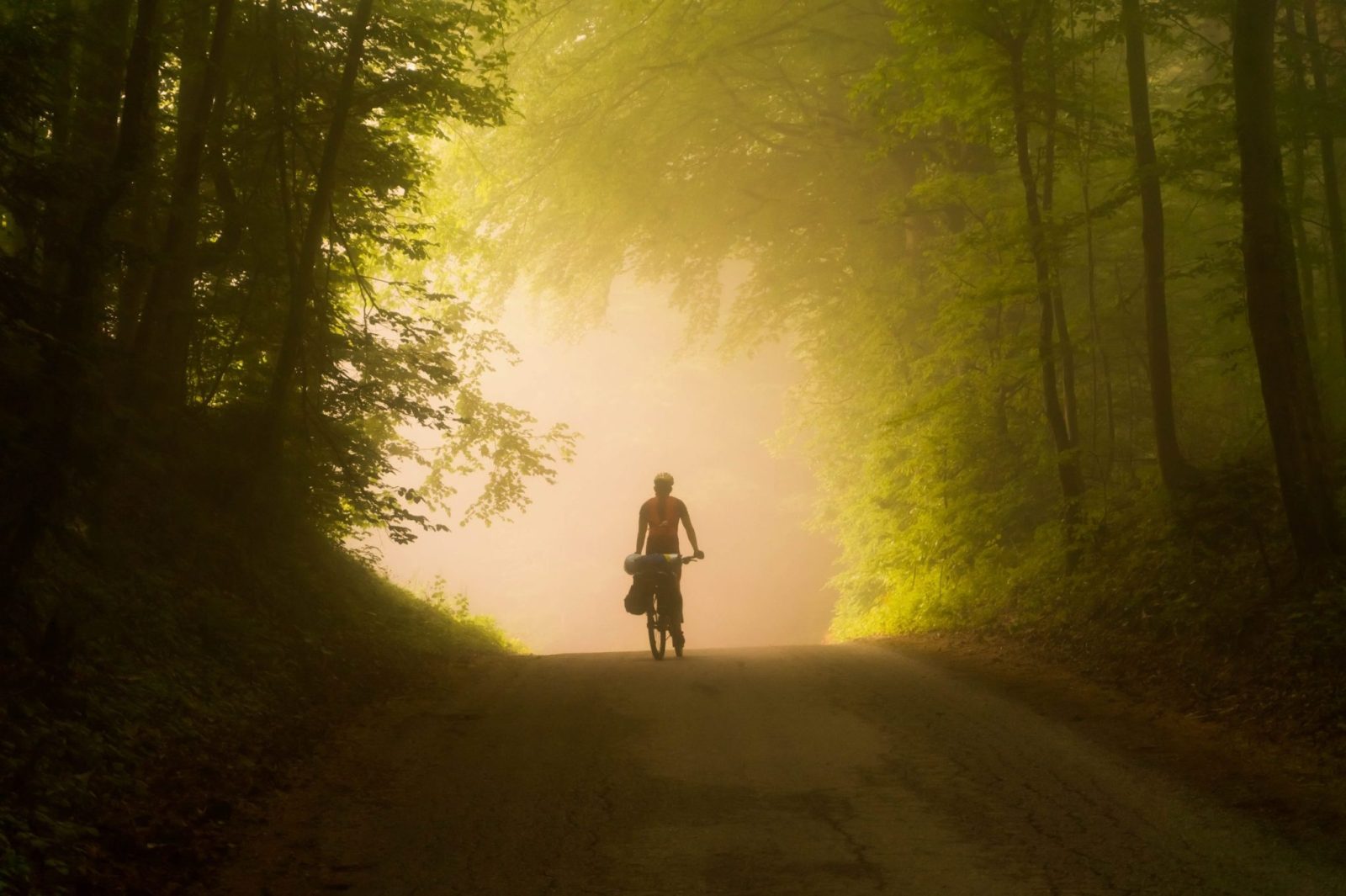 Mr Cycling World